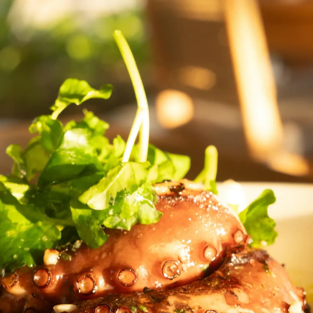 Octopus
